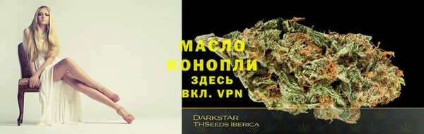 СК Протвино
