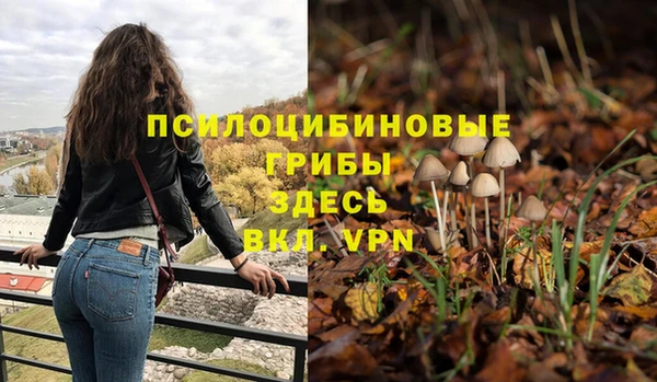 бутират Пролетарск