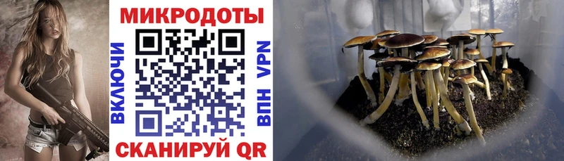 Галлюциногенные грибы Psilocybine cubensis  Сим 